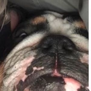 Meet your Posher, Rhys